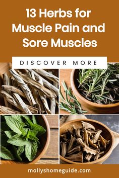 Discover the power of herbal remedies with these DIY sore muscle creams! Whether you're looking for pain relief or a natural way to soothe sore muscles, these homemade ginger salves and dandelion balms are here to help. From essential oils like eucalyptus and peppermint to potent herbs like arnica and chamomile, find the perfect muscle pain relief cream recipe for your needs. Muscle Cream Diy, Muscle Inflammation Remedies, Herbal Muscle Relaxer, Plant Remedies, Herbal Medicine Cabinet, Inflammation Remedies, Longevity Recipes, Learning Herbs, Muscle Inflammation