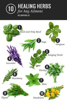 the top ten herbs for any element in this poster are labeled with their name and description