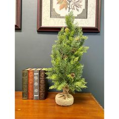 a small pine tree sitting on top of a wooden table next to two book cases