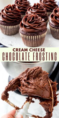 chocolate cream frosting on top of cupcakes