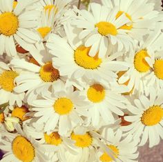 white and yellow flowers are in a vase