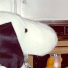 a stuffed dog wearing a tie and holding a wine glass in front of an oven