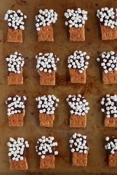 marshmallows are arranged on top of graham crackers