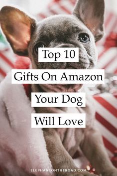 a dog sitting on top of a pile of presents with the words top 10 gifts on amazon