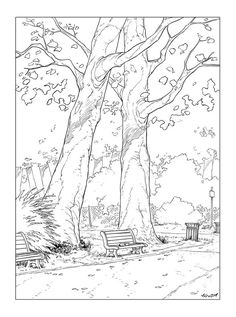 a black and white drawing of a park bench under a tree with benches underneath it