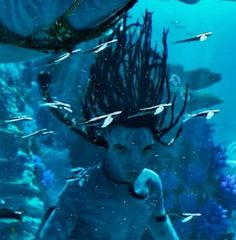 a young boy standing in front of an aquarium