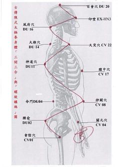 Traditional Chinese Medicine Acupuncture, Tai Chi Chuan, Body Therapy, Human Anatomy And Physiology, Health Heal, Qi Gong