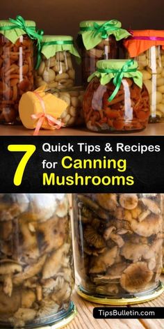 jars filled with mushrooms and text that reads 7 quick tips & recipes for canning mushrooms