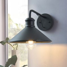 a light that is on the wall next to a potted plant in front of a window