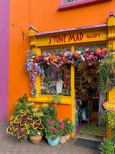 a store front with flowers and plants outside