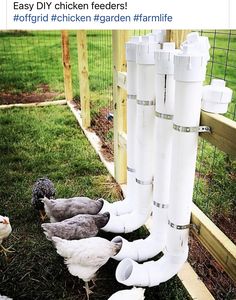 chickens in their pen with the words do - it - yourself p v chicken feeders