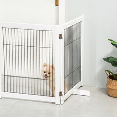 a small white dog in a cage next to a potted plant