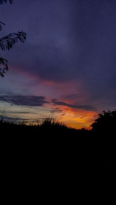 the sun is setting behind some trees and bushes in the distance, with dark clouds