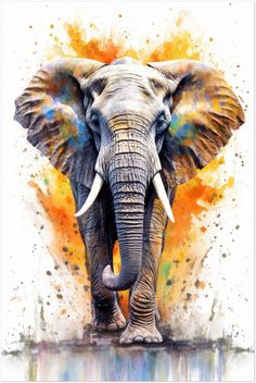 an elephant with tusks standing in front of watercolor paint splatters