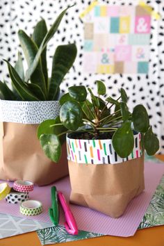 two potted plants sitting on top of a table next to markers and tape dispensers