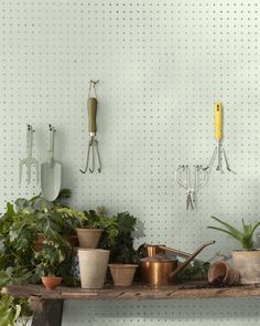 potted plants and gardening utensils are on a shelf in front of a wall