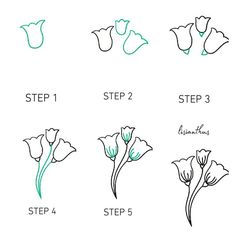 step by step instructions to draw flowers for beginners, including tulips and daffodils