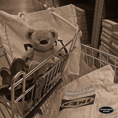 a teddy bear sitting in a shopping cart