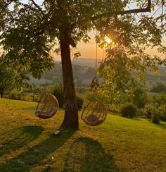 Countryside Lifestyle, Glowworm Caves, Calm Evening, Outside Nature, Sunset Vibes, Future Farms, Aesthetic Pretty, Big Yard