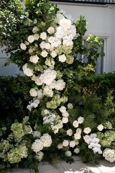 white flowers and greenery in front of a building