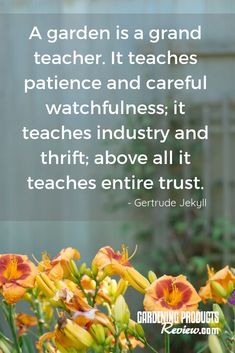 a garden is a grand teacher it teaches patient and careful watchful watches industry and thrifts above all it teaches entire trust