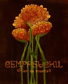 an image of flowers with the words cempasso chill written below it in spanish