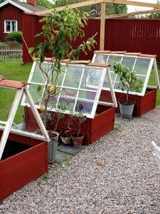 several greenhouses with plants in them on gravel ground next to fence and red building