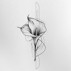 a black and white drawing of a flower with lines on the bottom half of it