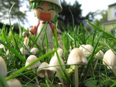 a toy is standing in the grass with mushrooms