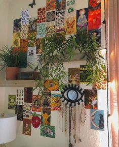 a wall with many pictures and plants on it