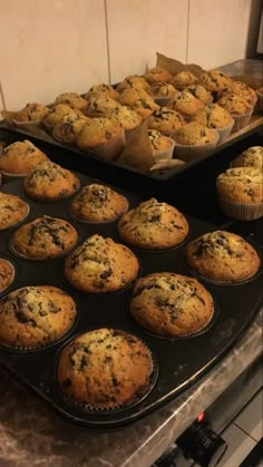 muffins are lined up in the oven ready to be baked and eaten by someone else