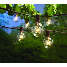 outdoor string lights with clear glass globe bulbs hanging from a wire in front of trees