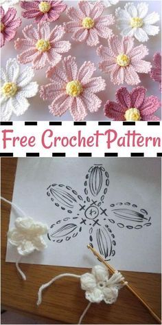 crochet flowers are shown with the text, free crochet pattern on it