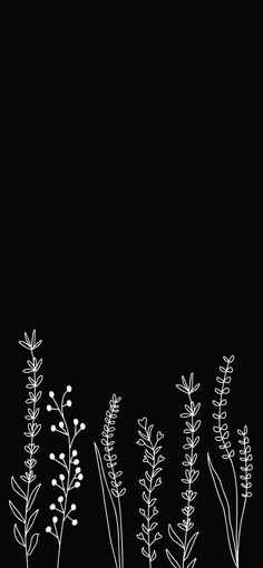 black and white photograph of flowers against a dark background with space for the wording