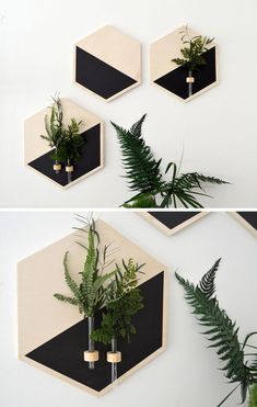 three different angles of the same wall with plants on it and in between them, there are four hexagonals