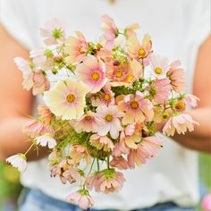 a person holding a bouquet of flowers in their hands