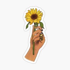 a hand holding a sunflower sticker