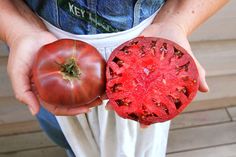 a person holding two tomatoes in their hands