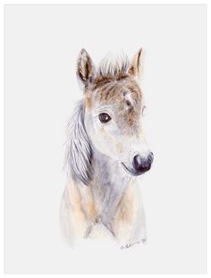 a watercolor painting of a horse's head with brown and white fur on it