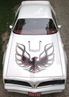 a white car with an eagle painted on the hood