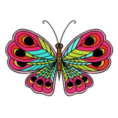 a colorful butterfly with feathers on it's wings