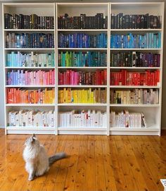 a cat sitting on the floor in front of bookshelves