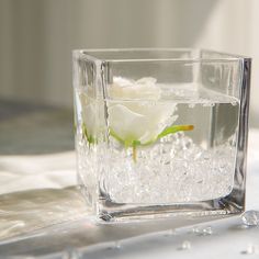 a white flower floating in water inside of a square glass container filled with water and bubbles