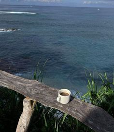 a cup of coffee sitting on top of a wooden bench next to the ocean and beach