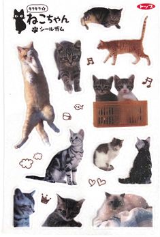 an image of cats stickers on a white background