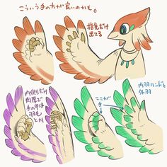 some drawings of different kinds of birds