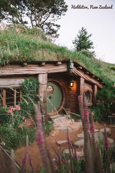 a hobbot house with a green roof and grass growing on it's roof