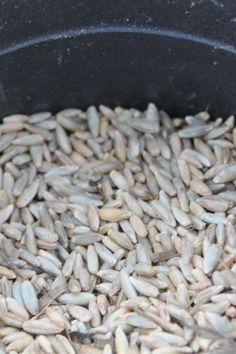 a pan filled with rice sitting on top of a table