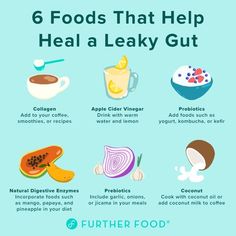 the 6 foods that help heal a leaky gutt info graphic on blue background