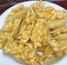 several pieces of macaroni and cheese on a white plate with brick wall in the background